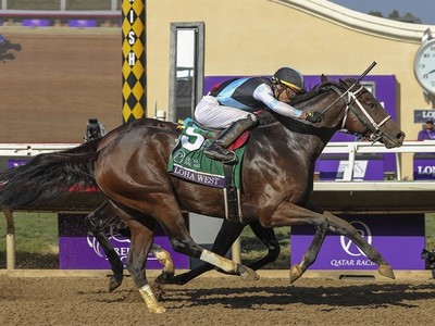 Aloha West, winner of the Breeders' Cup Sprint (Gr.1) in ... Image 1